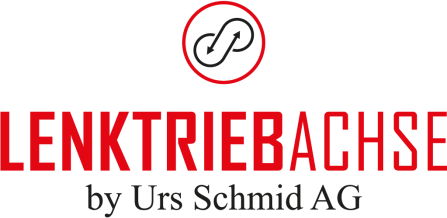 Lenktriebachse Lenktriebachse